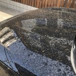 黄砂・花粉によるボディへの影響