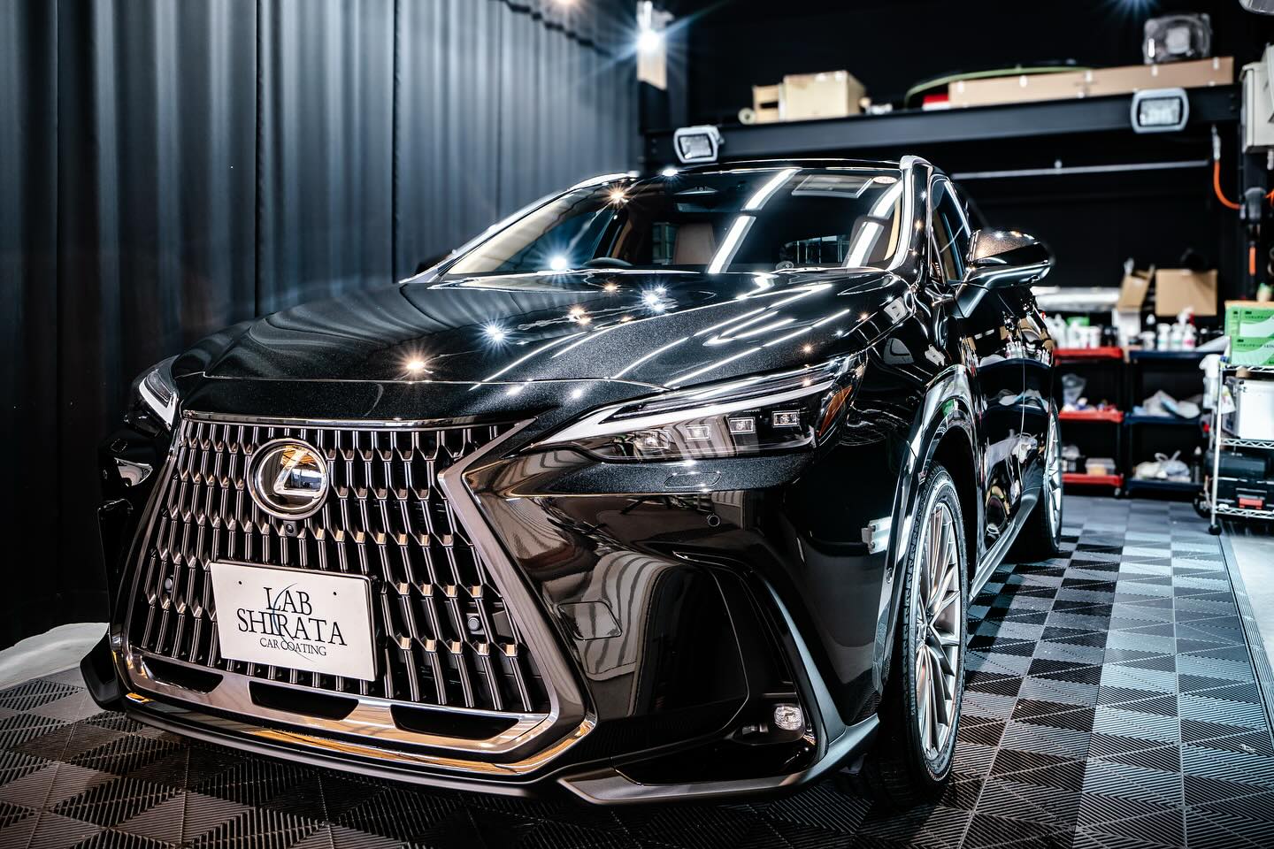LEXUS NX450h+