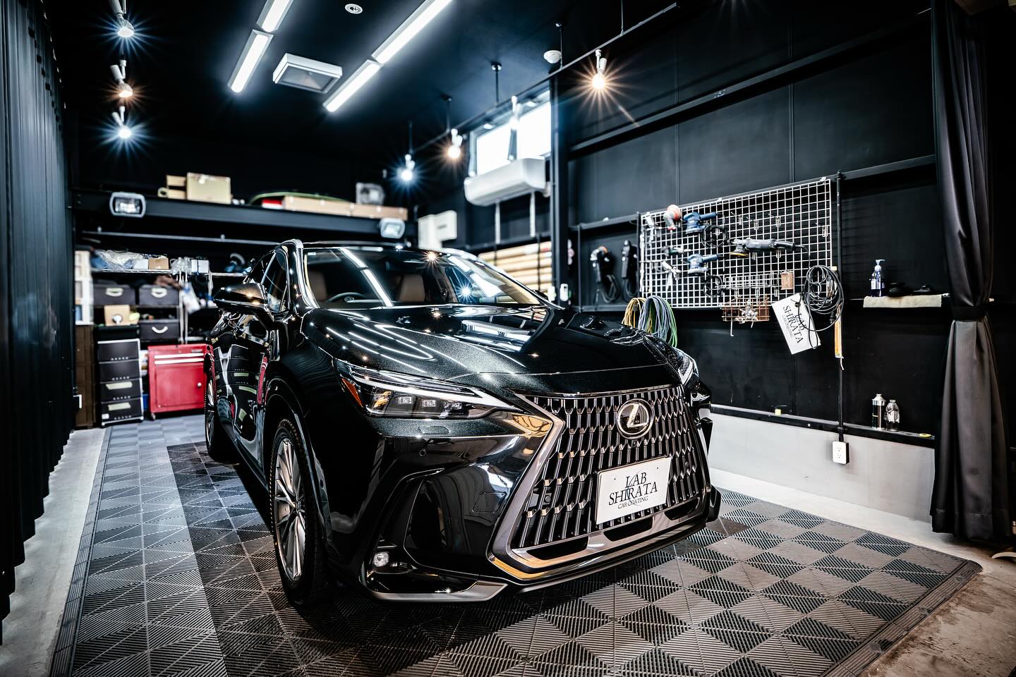 LEXUS NX450h+