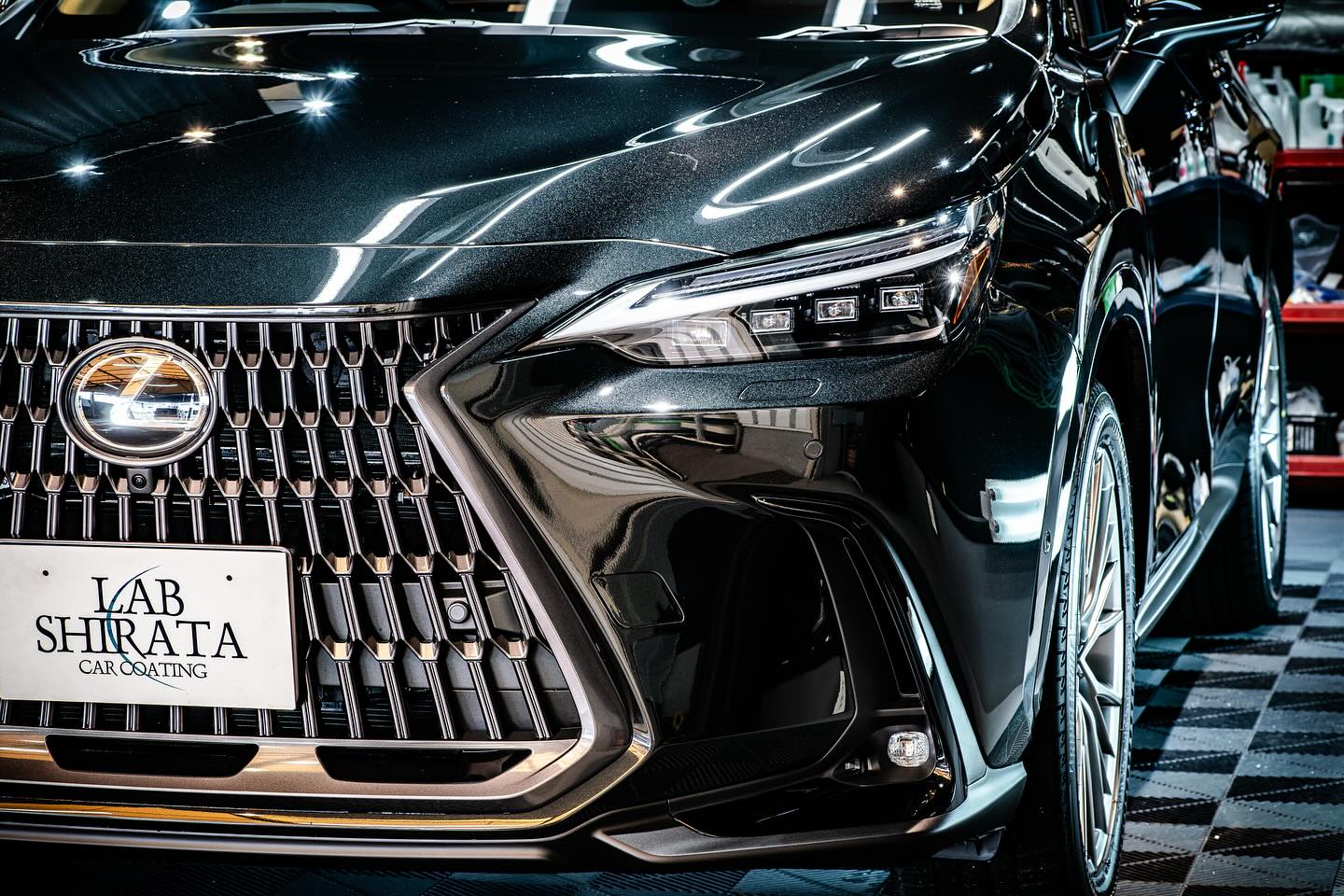 LEXUS NX450h+