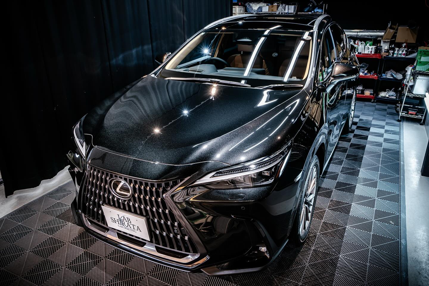 LEXUS NX450h+