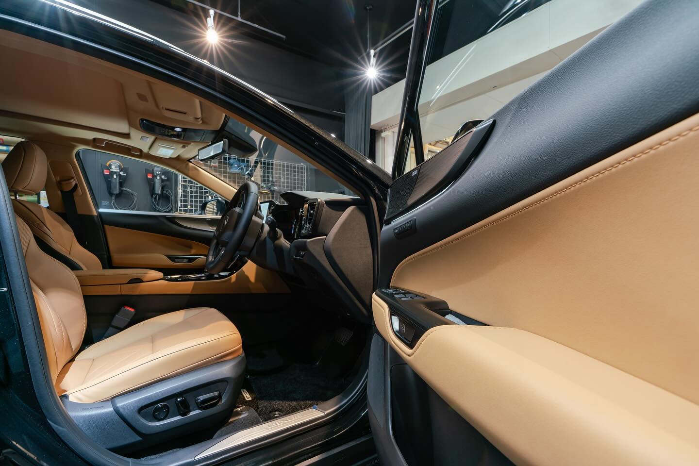 LEXUS NX450h+