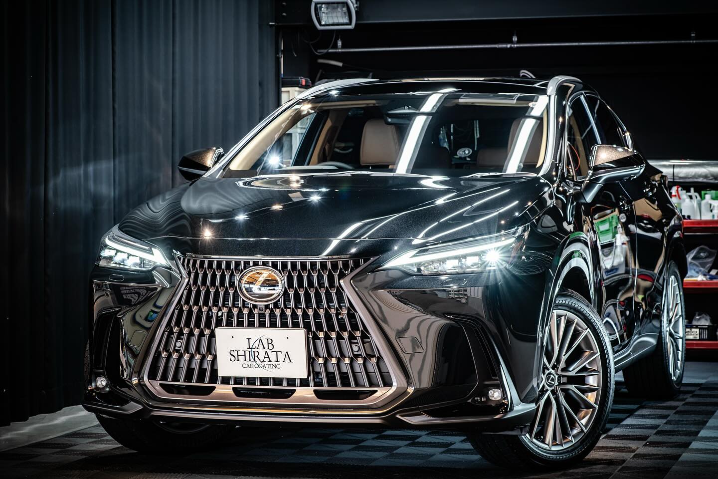 LEXUS NX450h+