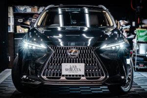 LEXUS NX450h+