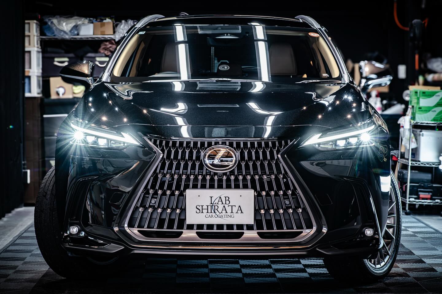 LEXUS NX450h+